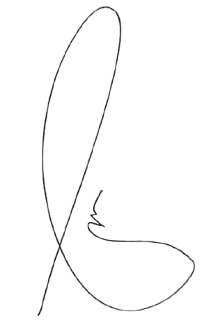Signature 2